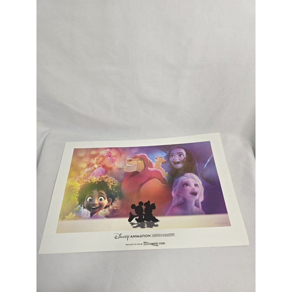 Disney Animation Immersive Experience Print Poster 2023 Lion King Encanto Frozen
